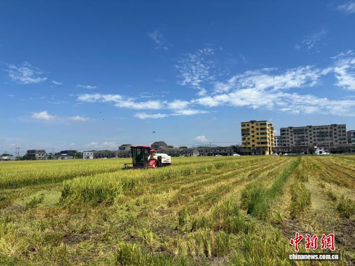 亿万28：聚焦品牌故事，赋能行业未来 - 亿万28